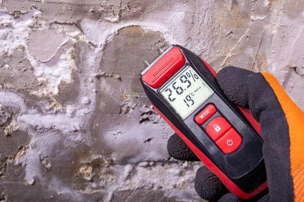 Best Crawl Space Mold Removal  in Revere, MA