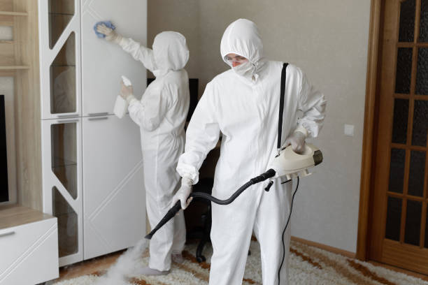 Trusted Revere, MA Mold Removal Experts